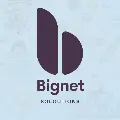 bignetsolutions